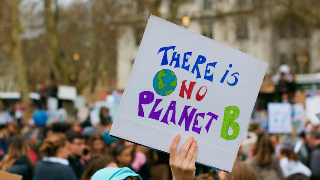 Plakat "There is no Planet B" vor einer Demo