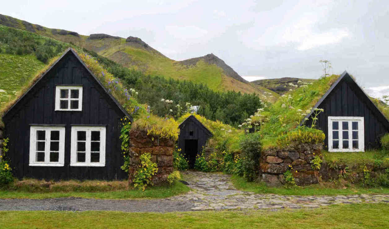 Häuser aus Holz mit Grasdach Bild